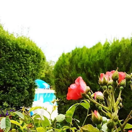 Campsite Mandel Fahazak *
